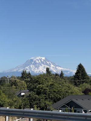 Penned Perfection Notary