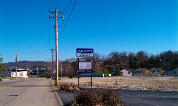 Alternatives Insurance