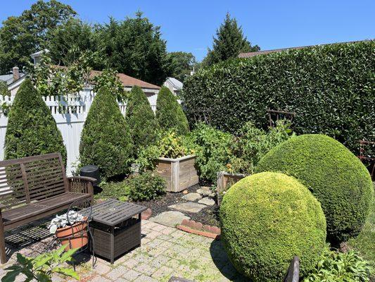 Ramirez lawn services