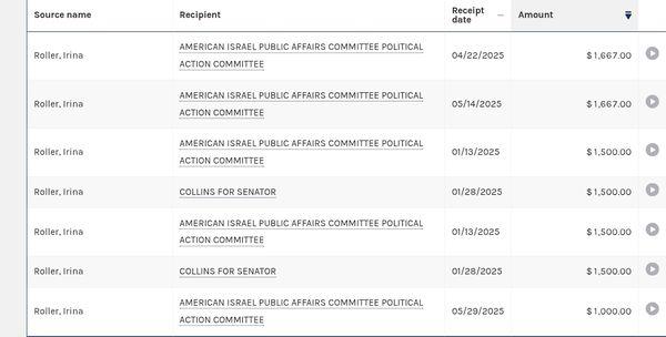 Law Offices of Irina Roller, PLLC