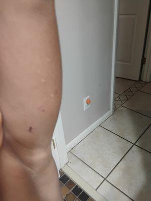 Future Stars Preschool Academy