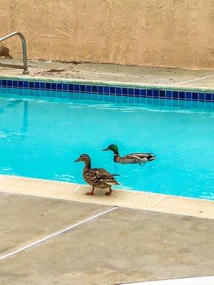 Riverwalk Apartment Homes