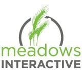 Meadows Interactive provides SLO web design, PR and online marketing services.