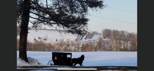 Elite Cleaning Services