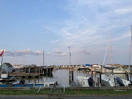 Cedar Point Marina