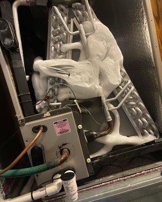 Serenity Home Comfort