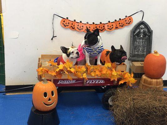 Holloween Party at Luckys