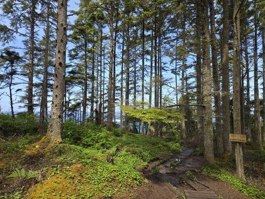 Westernmost Point Of Washington