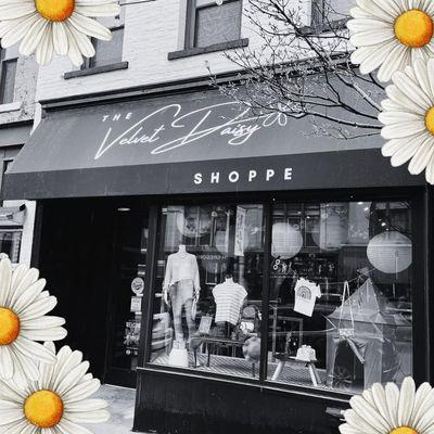 The Velvet Daisy Shoppe
