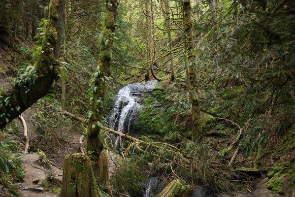 Coal Creek Falls Trail