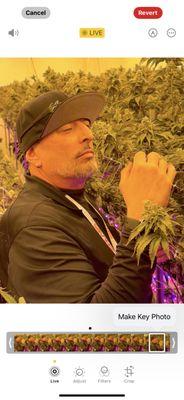 High Culture Celebrity Cannabis LLC