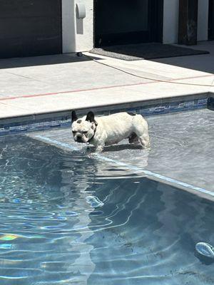 Desert Pools and Spas