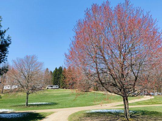 Hemlock Lake Campground