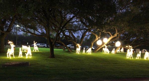 Landscape display for Christmas.