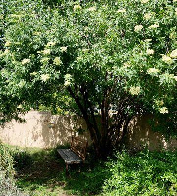 Waterwise Community Center