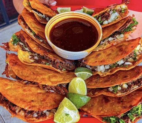 Paquete familiar de Quesatacos