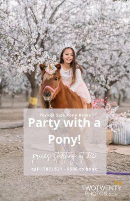 Pocket size pony rides