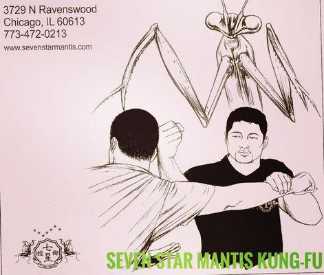 Chinese Martial Arts