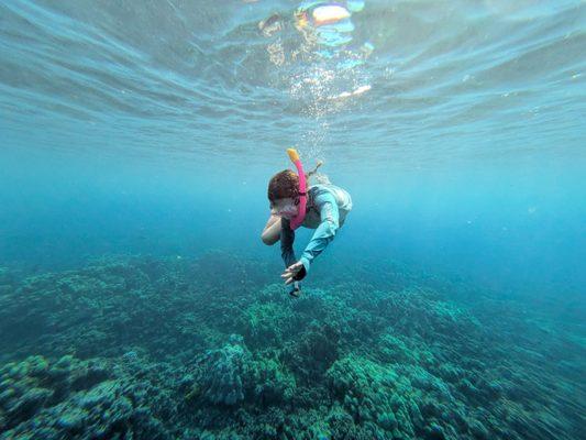 Maui Digital Imaging