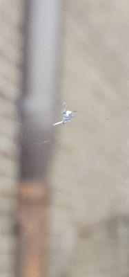 Hudson's Glass Of DeRidder