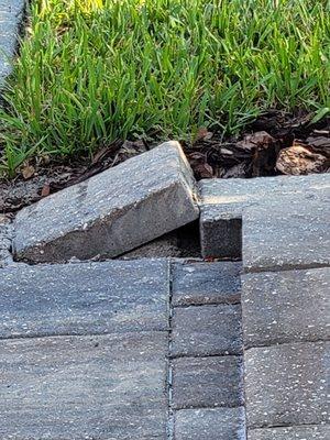 running over pavers... see the big tire marks....