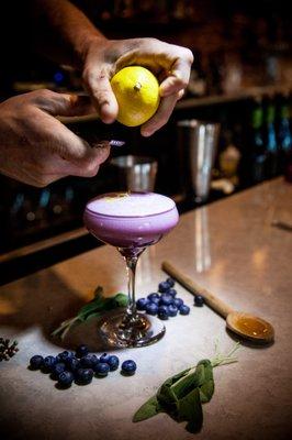 Peter Gourniak Photography