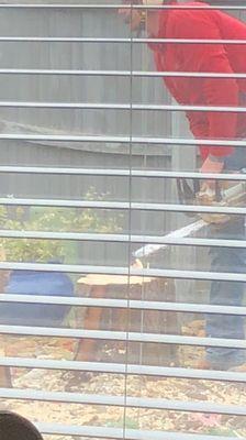 McDaniel and Sons Land Management