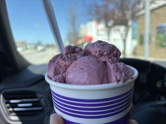 This is the black cherry ice-cream that they make in house. It has delicious chunks of cherry throughout the scoop. YUM!