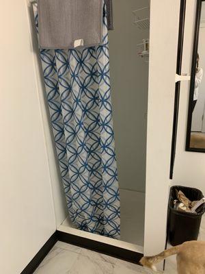 Shower in the ladies room