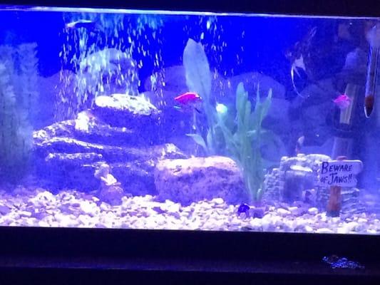 Northeast Pet Center