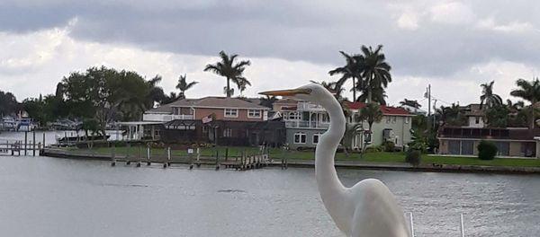 Janina Maslanka - Century 21 Beggins Enterprises