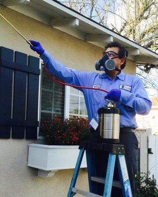 Paladin Pest Management