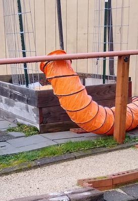 Emptied the contaminants and debris directly into my organic gardens instead of a dozen other places they could have chosen