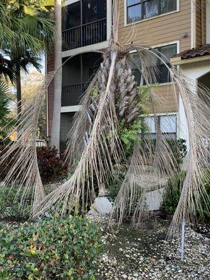 Wise Property Management