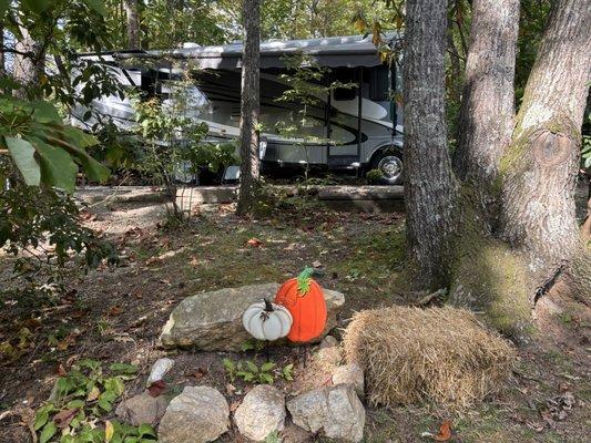 Our Site was perfect, with nice small touches in decorations. Some sites are less shaded than others.