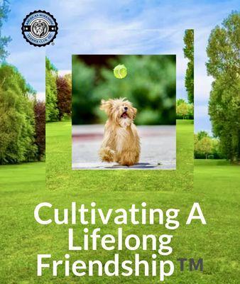 American Morkshire Terrier Club