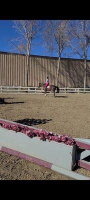 Dana Smith Show Team