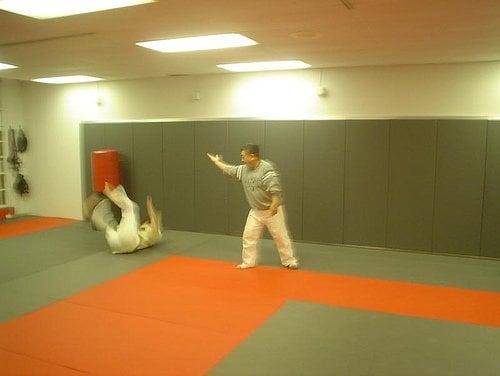 Washington Aiki Kwai