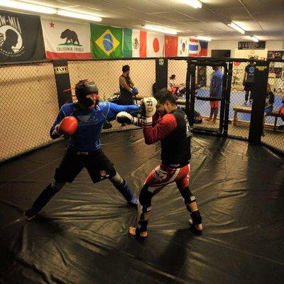 Flawless Victory Mixed Martial Arts