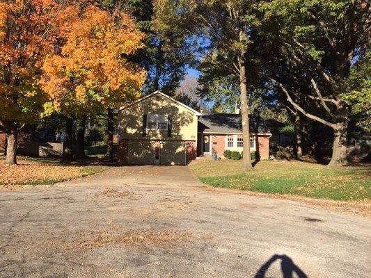 Sunshine Tree & Lawn