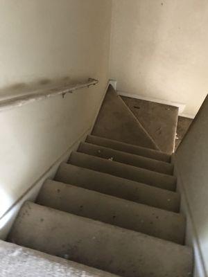 No Mess, No Stress Disposal