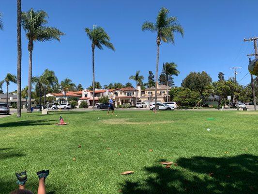Sitting under the big tree looking at the swings in the background
