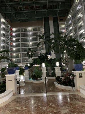 Cypress Creek Marriott Hotel