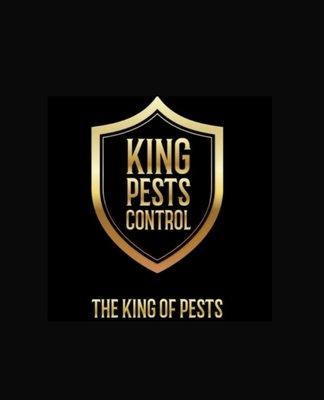 King Pests Control