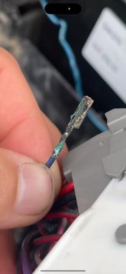 The pins attached to the wiring harness. The corrosion was so bad that it spread deep into the wiring harness.