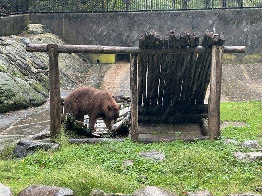 Trailside Museums & Zoo