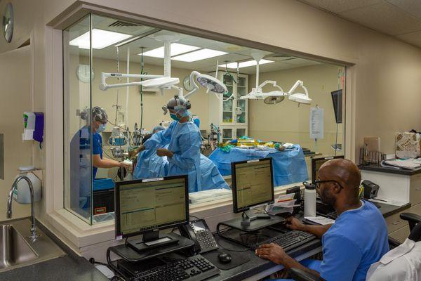 Animal Medical Hospital & Urgent Care