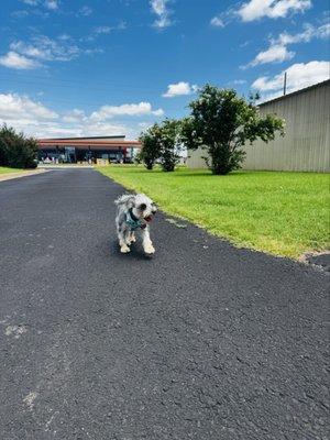 All Pets Medical Center