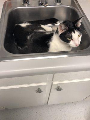 Tri-City Animal Clinic