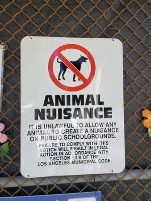 Canyon Elementary School